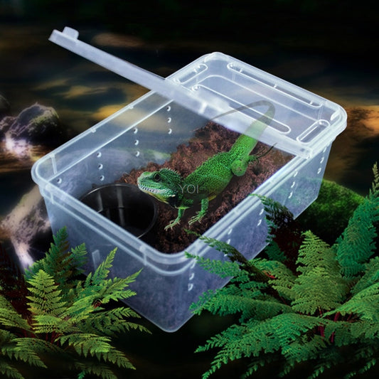 Plastic transparent reptile feeding box Glamour Gale